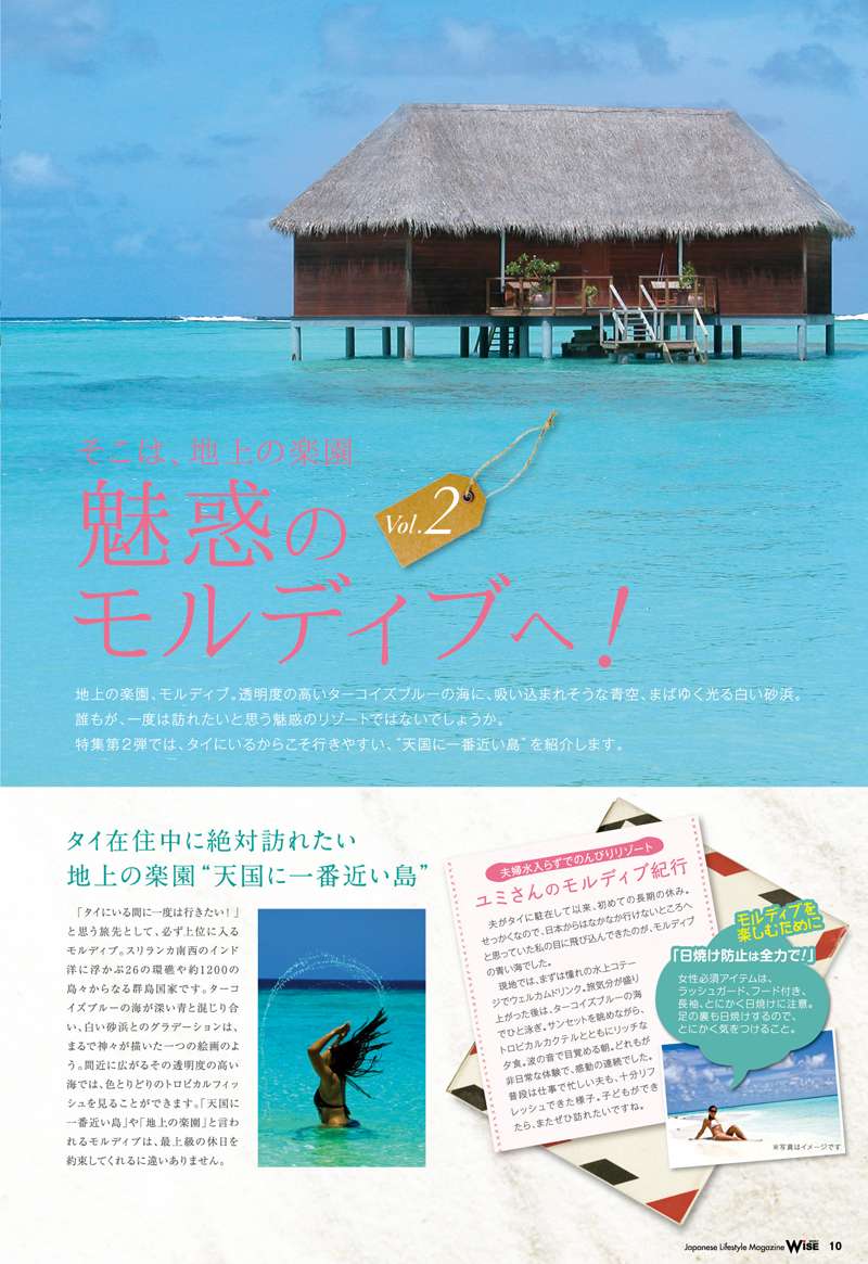 WiSE_490_10-11 のコピー