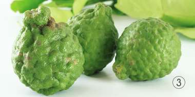 マルチな活躍のこぶみかん