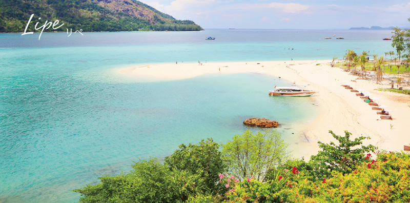 リペヘッダー