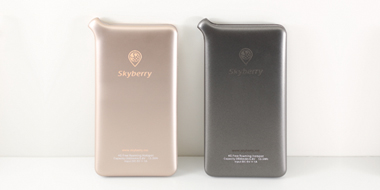 「Skyberry」端末