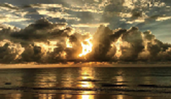 スクリーンショット 2018-03-30 8.05.59