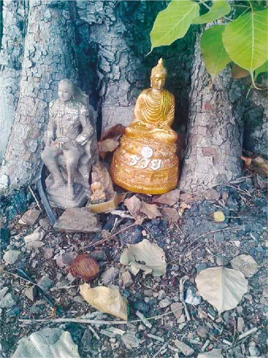 なぜ、お寺の木の下には古い仏像が多いの？ - ワイズデジタル【タイで生活する人のための情報サイト】