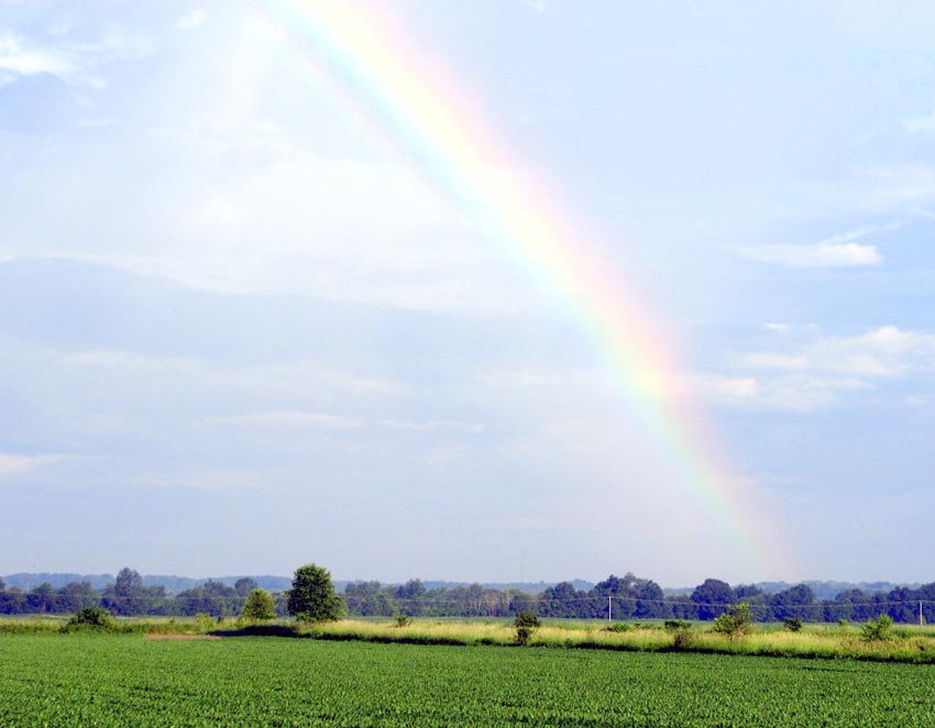 虹を指差してはいけない？ - ワイズデジタル【タイで生活する人のための情報サイト】