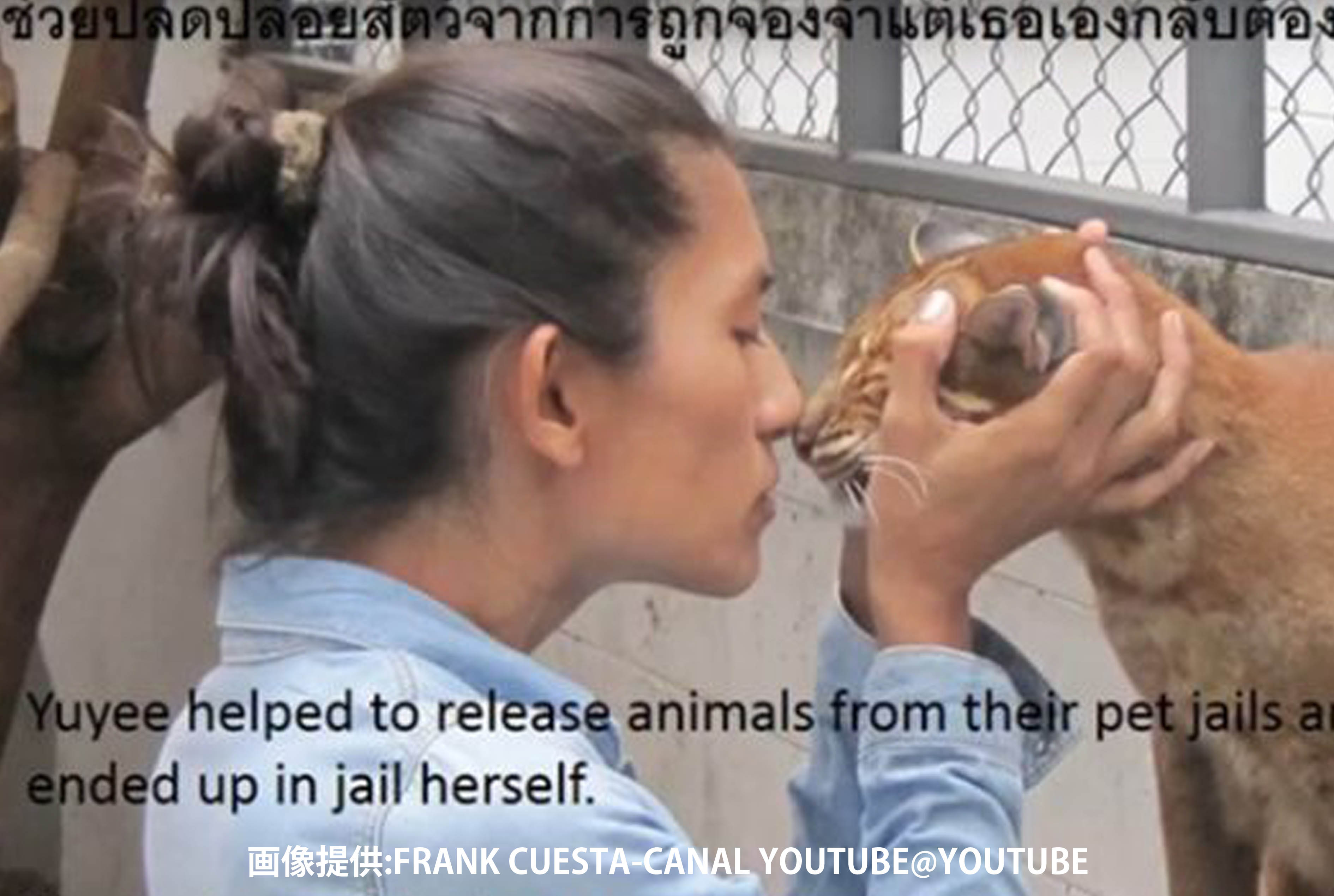 タイ人セレブの薬物判決 - ワイズデジタル【タイで生活する人のための情報サイト】