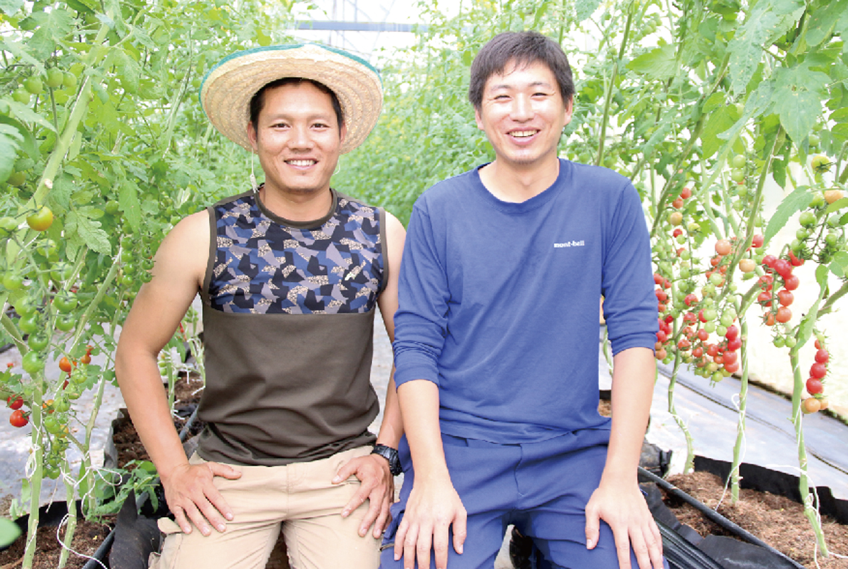 タイに根づく農業の仕組みを 「bijin tomato」の挑戦 - ワイズデジタル【タイで生活する人のための情報サイト】