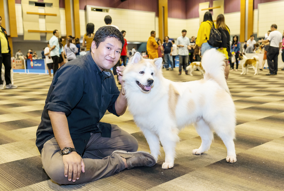 固有犬種「バンゲーオ」と共に 世界へ挑むドッグブリーダー - ワイズデジタル【タイで生活する人のための情報サイト】