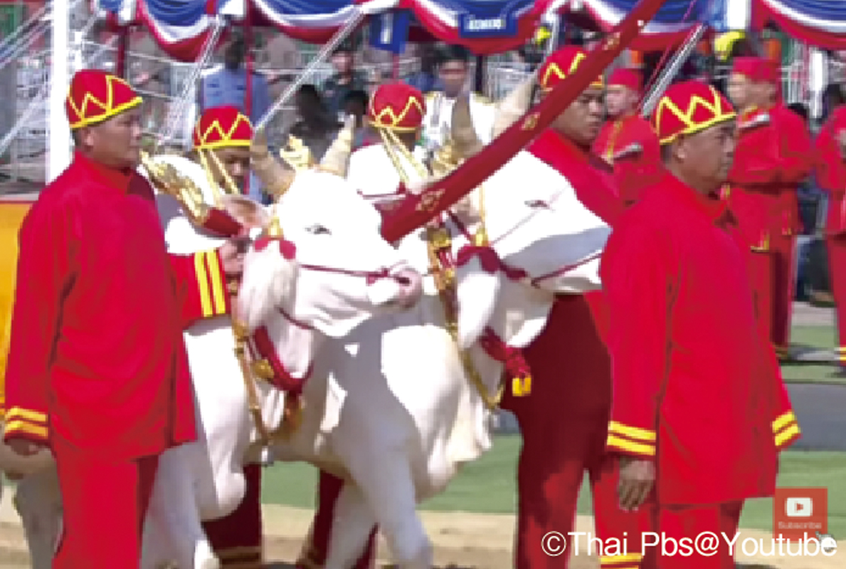 農耕際ってなに？ - ワイズデジタル【タイで生活する人のための情報サイト】