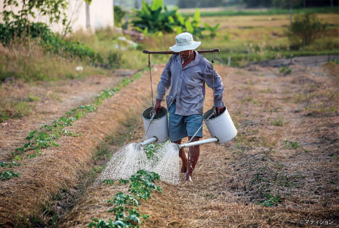 「エネルギーはすべての国における経済発展の根幹」と潘基文前国連事務総長がいう通り、エネルギー施策は国の繁栄を大きく左右する。タイでもエネルギー施策は重要案件とされており、7月末にはエネルギー政策「Energy for All(すべての人にエネルギーを)」がぶち上げられた。 これは、地元住民らでつくる地域コミュニティが豊富な農業廃棄物を燃料とする再生可能発電事業を営めるよう推進するもの。最終的には、低所得者でも十分に電力を使用できるよう、インフラを整備したい考えだ。 政策の実現に向け、タイ国家エネルギー政策委員会(NEPC)は9月11日、地域コミュニティによる電力プロジェクトを承認。国営企業と民間企業が地域コミュニティと合弁で事業を展開し、太陽光発電所やバイオマス発電所などの再生可能エネルギープロジェクトを運営できるようになった。プロジェクトには民間企業の他、タイ王国発電公社(EGAT)と地方配電公社(PEA)も投資できる。 このプロジェクトには多くのメリットが挙げられる。代替エネルギーの開発が進めば、PM2.5などによる大気汚染が改善。そして、長期的には電力コストが削減されれば、地方住民に安価な電力が供給されることになる。さらに、地域コミュニティは燃料となる原材料や余剰電力を販売することで収入を生み出し、発電所の株を所有する地元住民に還元することも可能だ。 プロジェクトの資金については、当初は民間企業に100%投資させ、2〜3年目は地域コミュニティが省エネルギー促進ファンドから融資を受け、民間企業と共に30〜40%を投資するとの道筋を示す。開発コストは、1案件につき約2〜3億バーツ、1世帯ごとの年間収入は15万9,000バーツに上る見通し。今年末には最初の試験プロジェクトを立ち上げ、2022年までに事業を開始する方針だ。 環境や貧困、エネルギーの問題を同時に解決し得る“一石三鳥”の同政策。さらなる経済発展の起爆剤となるか、注目が集まる。