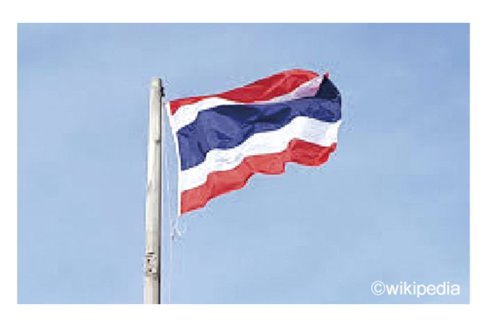 タイの国旗は赤・白・紺色の３色５本の横縞から成る三色旗で、「トン・トライロング」と呼ばれています。これは王朝史上初の海外留学を果たした国王ラマ６世によってデザインされ、1917年より導入されました。赤は「国家」、白は「仏教」、紺色には金曜生まれの国王の誕生色を用いることで「王室」の意味が込められ、中央に配された紺色の帯は他の４本よりも２倍の幅があります。 　またタイには１日２回、国歌を流す習慣がありますが、併せて毎日８時に国旗を掲揚し、18時に降納することも定められています。