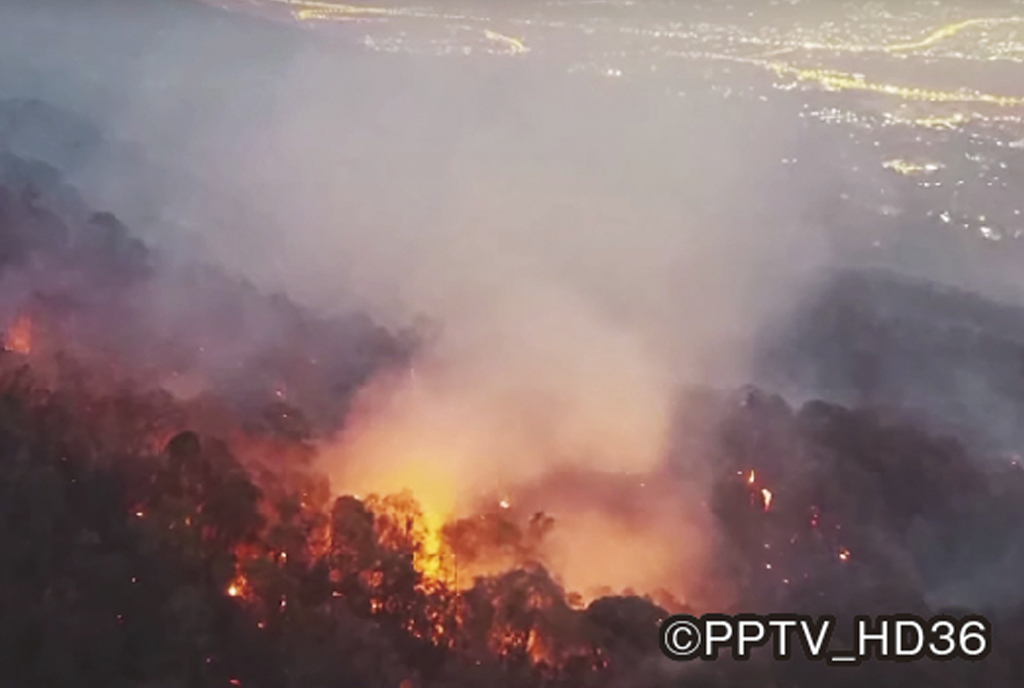 ドイステープで深刻な森林火災 - ワイズデジタル【タイで生活する人のための情報サイト】