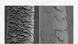 髪の乾燥を防ぎ、保湿する。「洗い方」と「乾かし方」 - ワイズデジタル【タイで生活する人のための情報サイト】