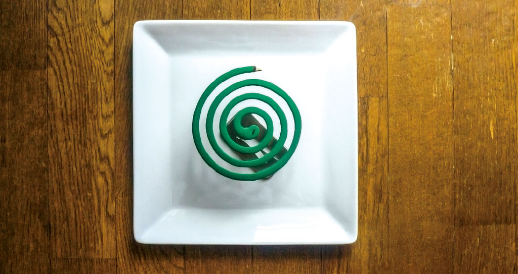 タイの害虫対策 ワイズデジタル タイで生活する人のための情報サイト