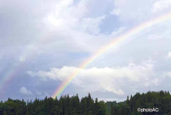 日本では「幸運の象徴」とされる虹ですが、タイではその美しさゆえ神々しい存在として崇められていることをご存じですか？ だからこそ、「虹を指差す行為」は神への冒涜にあたるとして禁止されています。