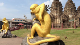 観光客の減少で餌がなくなり猿が凶暴に ロッブリー県 - ワイズデジタル【タイで生活する人のための情報サイト】