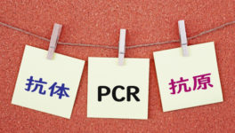タイから帰国した韓国人が PCR検査で陽性反応 - ワイズデジタル【タイで生活する人のための情報サイト】