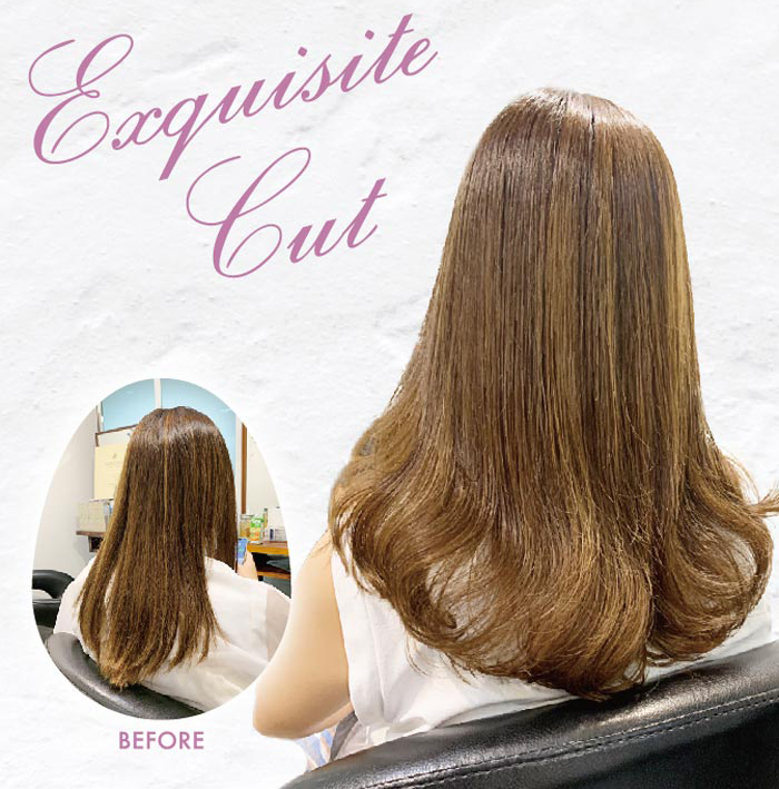 ヘアスタイル Sオリジナルカット・活性酸素除去 - Hair Style Exquisite Cut - 1,600B・200B