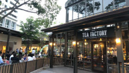 Tea Factory and More（ティー・ファクトリー・アンド・モア） - ワイズデジタル【タイで生活する人のための情報サイト】