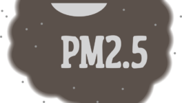 バンコク PM2.5大気汚染指数、警戒値超え - ワイズデジタル【タイで生活する人のための情報サイト】