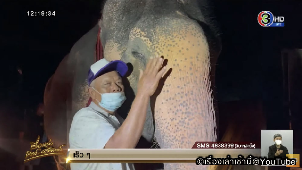 巨体を抱きしめた18年ぶりの再会 - ワイズデジタル【タイで生活する人のための情報サイト】