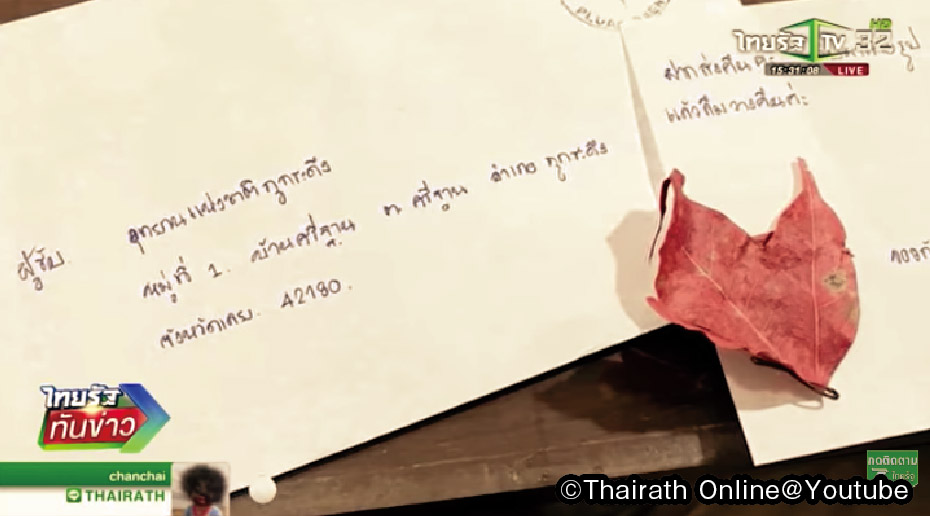 鎮守の森の紅葉の怪 - ワイズデジタル【タイで生活する人のための情報サイト】