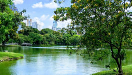 バンコク都の3公園　8月から開園時間延長 - ワイズデジタル【タイで生活する人のための情報サイト】