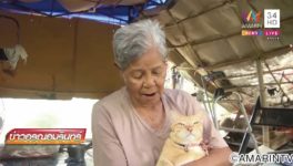 警察へ訴えられた猫ちゃん - ワイズデジタル【タイで生活する人のための情報サイト】