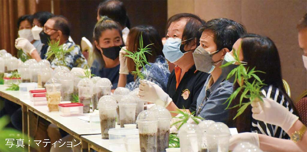 バンコクで開催されたハーブ博覧会 大麻が注目を集め20万人が来場　ー　バンコク都インパクト・ムアントンタニーで6〜10日の間、第19回ハーブ博覧会「Thailand Herbal Expo 2022」が開催された。医療用大麻が注目を集め、20万人以上が来場。開催期間中の売り上げは3億5,000万B以上だったという。