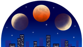 11月8日、ロイクラトンの夜　皆既月食が発生 - ワイズデジタル【タイで生活する人のための情報サイト】