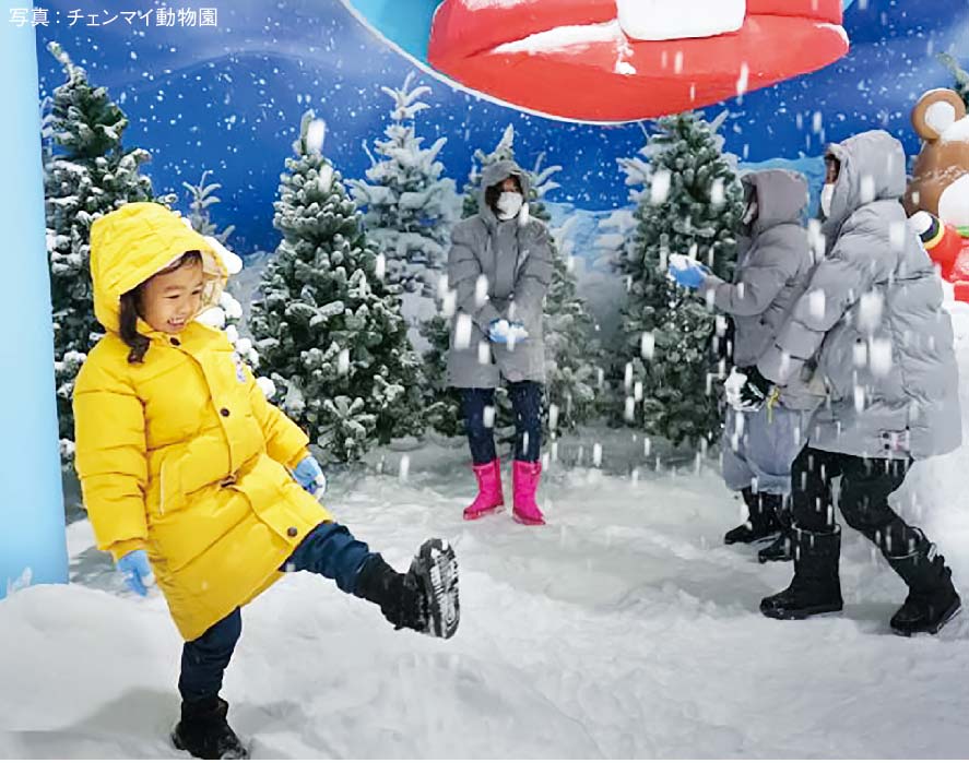 チェンマイに人工雪広場 北部で初めてのオープン　ー　1月26日、チェンマイ動物園に人工雪広場「Snow Buddy Winter Land」がオープン。北部では初めての人工降雪施設となる。氷の滑り台や雪だるま作りが楽しめるという。