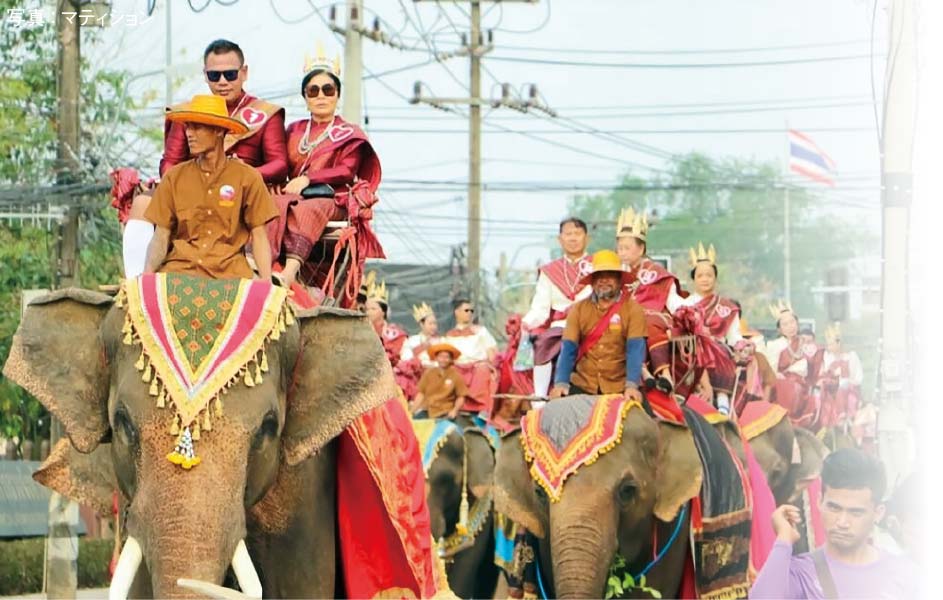 象に乗って合同結婚式 タイ人・外国人の合計30組 - ワイズデジタル【タイで生活する人のための情報サイト】