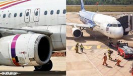 空港でミツバチが大量発生　飛行機が運航遅延 - ワイズデジタル【タイで生活する人のための情報サイト】