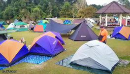 連休でカオヤイが大盛況　来場者は1万以上 - ワイズデジタル【タイで生活する人のための情報サイト】