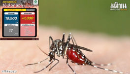 デング熱検査キット　一般用は未承認 - ワイズデジタル【タイで生活する人のための情報サイト】