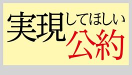 「実現してほしい公約」　農業借金3年間返済猶予など - ワイズデジタル【タイで生活する人のための情報サイト】