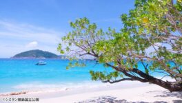 シミラン・スリン諸島　10月15日から観光再開 - ワイズデジタル【タイで生活する人のための情報サイト】