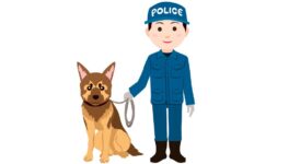 空港で日本人を逮捕 麻薬密輸容疑 - ワイズデジタル【タイで生活する人のための情報サイト】