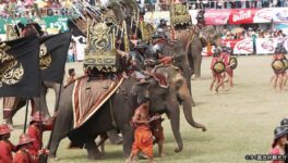 タイ全土から象が集まる「スリン象祭り」って？ - ワイズデジタル【タイで生活する人のための情報サイト】