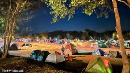 年末年始期間　カオヤイ国立公園に10万人 - ワイズデジタル【タイで生活する人のための情報サイト】