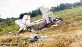 東部で軽飛行機が墜落　操縦していた外国人が死亡 - ワイズデジタル【タイで生活する人のための情報サイト】
