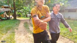 施設のクマが飼育員を襲う　重症を負って手首を切断 - ワイズデジタル【タイで生活する人のための情報サイト】