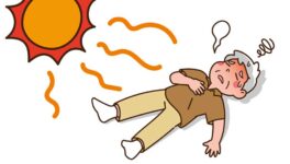 猛暑による熱中症で30人死亡　タイの保健省が警告 - ワイズデジタル【タイで生活する人のための情報サイト】