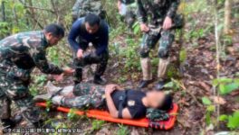 野生クマが保護区隊員を襲う　肋骨・臀部に大ケガ - ワイズデジタル【タイで生活する人のための情報サイト】