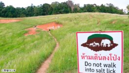 立ち入り禁止の場所で　カップルがウェディングフォト撮影 - ワイズデジタル【タイで生活する人のための情報サイト】