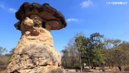 プー・プラバート歴史公園　タイで8件目の世界遺産に認定 - ワイズデジタル【タイで生活する人のための情報サイト】