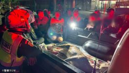 バンコク近郊で鹿が道路に出現　民家から脱走、轢かれて死亡 - ワイズデジタル【タイで生活する人のための情報サイト】