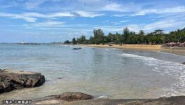 遊泳中に大型の魚に足を噛まれる　歯型からサメだと推測 - ワイズデジタル【タイで生活する人のための情報サイト】