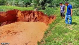 アブラヤシの栽培畑に　直径約20mのシンクホール発生 - ワイズデジタル【タイで生活する人のための情報サイト】