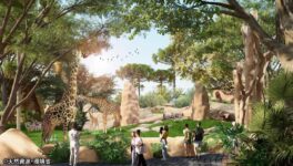 新動物園建設の進捗　2029年に開業予定 - ワイズデジタル【タイで生活する人のための情報サイト】