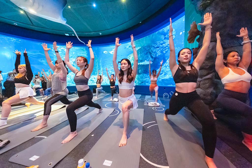 水族館内でヨガ体験 Aquarium Yoga ー ヘルスツーリズムキャンペーンの一環として行われる水族館ヨガ「Aquarium Yoga」の会見が5月27日、Sea Life Bangkok Ocean Worldで行われた。参加者は幻想的な水族館の空間で、心身ともにリラックスしたヨガ体験ができる。