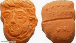 検問近くで不審な男を発見　違法薬物の使用・所持で摘発 - ワイズデジタル【タイで生活する人のための情報サイト】